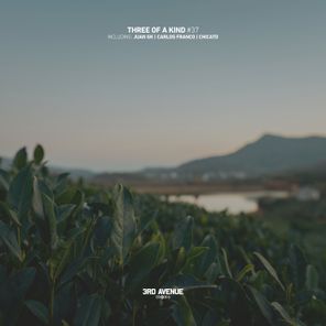 Carlos Franco, Chicato – Three of a Kind #37