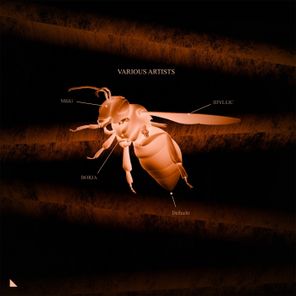 Dellucht, Mäiki – V.a.