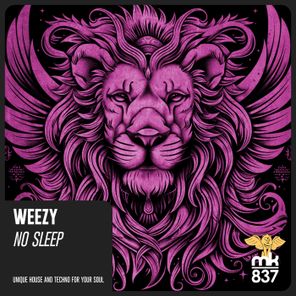 weezy – No Sleep