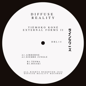 Tièmoko Koné – External Forms II