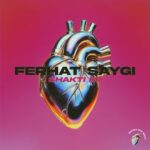 Ferhat Saygi – Shakti