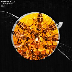 Return Fall – This Right