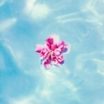 cepter – To The Sky Get Me High