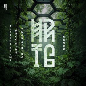 Tnas Afrika, Mboo Nihel – Sondo