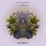 NAASA, Synthetra – Luna