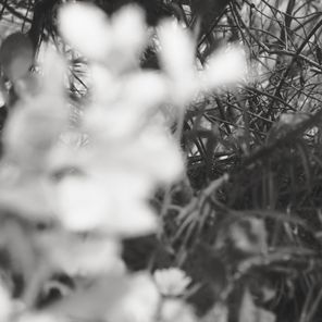 Pat Carroll – Time Vials, Pt. 4