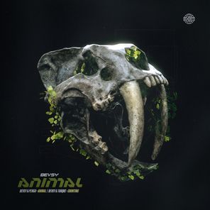 Pengo, Torque – Animal