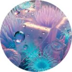 Fabrizio Lapiana – 1002b