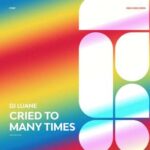 DJ Luane – Cried to Many Times