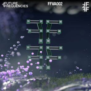 Amorpho, Paul Schmidpeter – Future Frequencies 0002