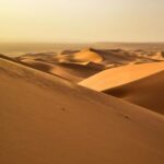 39565bb8 0356 46b8 9dae f588e83e6968