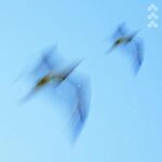 Lowbrain, Sam Atlast – You got me