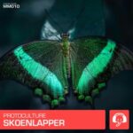 Protoculture – Skoenlapper