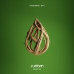 Bruno From Ibiza, Amir Telem – ORGANIC XVI