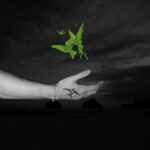 42d7bf04 76b4 4b2f bde2 4f1a8319a41a