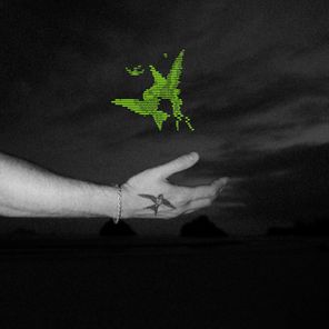 BSEARL, Limmz – DECISION