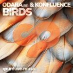Konfluence, ODARA (BE) – Birds