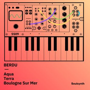 Berdu – Soulsynth 09