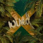 Voodoochild – Badda Boom