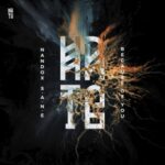 S.A.N.E, Nandox – Because Of You