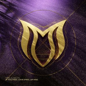 Aelyn, FEEL – If You Feel Love (FEEL Up Mix)