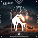 Cafe De Anatolia, Novamix – Submerge