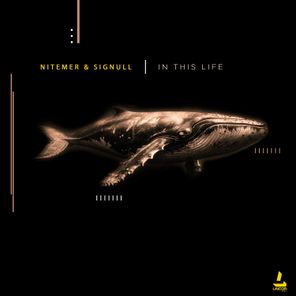 Nitemer, Signull – In This Life