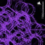 Fran Lezaun, CV1 – Continuum Hypothesis