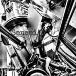 subchemist – Sensei
