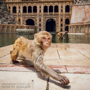 Landikhan, Shellsee – Ninja in Jaisalmer