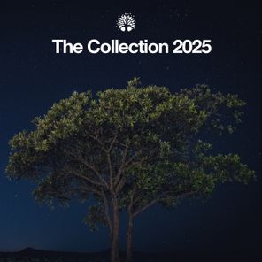 Tuxedo, Safinteam – The Collection 2025