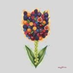 55d50d79 5eb3 45cd 8ede 09f2823567e8