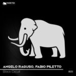 Angelo Raguso, Fabio Piletto – Black Circuit