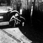 Douglas Greed – The lady that feeds the pigeons gets pooped on too