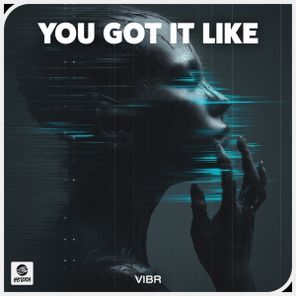 VIBR – You Got It Like