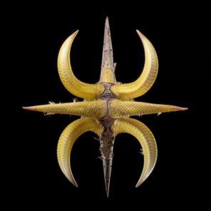 Rafael Cerato, Guzy – Hero (Guzy Remix)