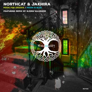 Jakhira, Bjorn Salvador – Moog for Groove / Moon Is Blue