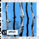 61ae8d7f 1a1a 4e9f bb24 10df8752e751