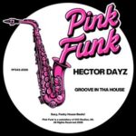 Hector Dayz – Groove In Tha House