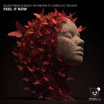 Silver Panda, Segev Yehonatan – Feel It Now