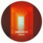 Daniel Navrotsky, Balance Shaker – Sampler 010