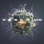 Vasco UG – Escape