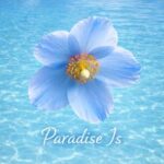 AKZET – Paradise Is (Original Mix)