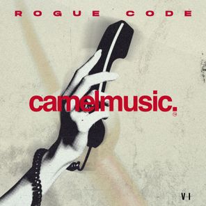 VI – Rogue Code