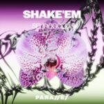5euroGoldi – Shake’em