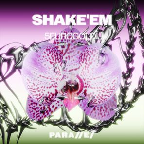 5euroGoldi – Shake’em