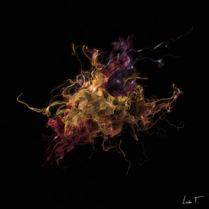 Polygraph – Fourth Wall