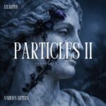 Martin Mind, Black Box – Particles II