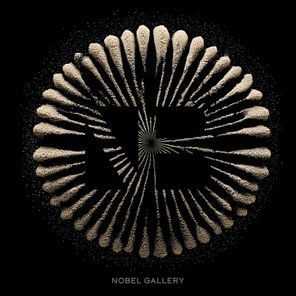 Arara, Quadra – Nobel Gallery