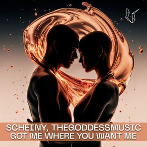 TheGoddessMusic, SCHEINY – Got Me Where You Want Me
